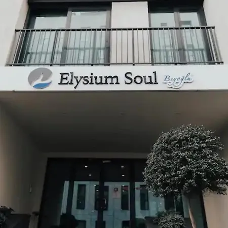 Cosy Flat -one In A New Near Taksim Apartment Istanbul